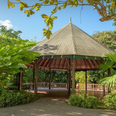 Tropical Escape Villa Ocho Rios Bagian luar foto